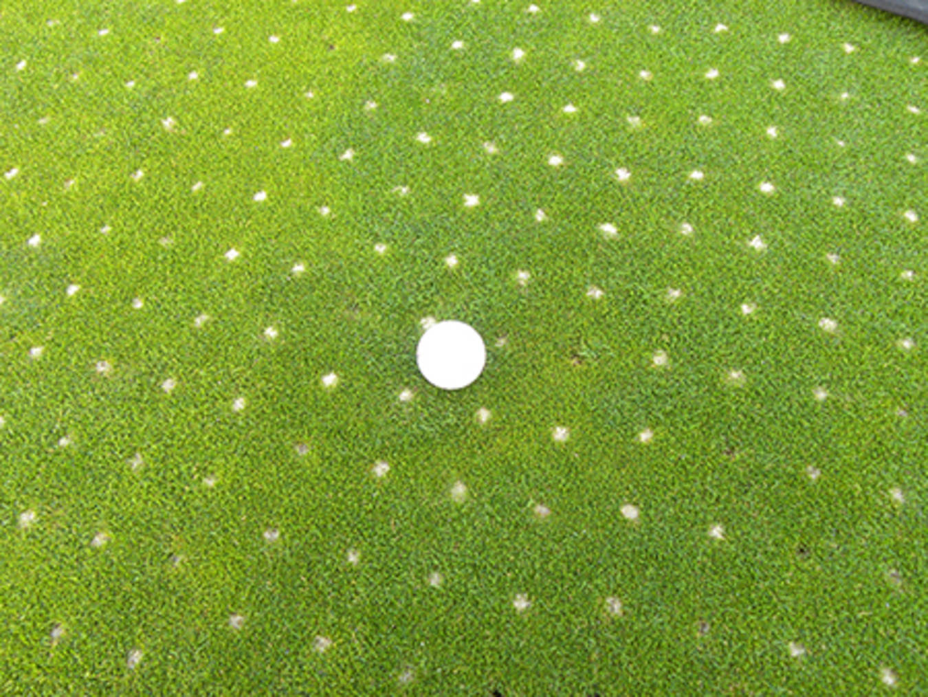 core-aeration